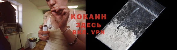 метадон Ельня