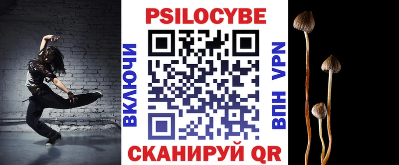 Галлюциногенные грибы Psilocybe Купить закладки Щучье